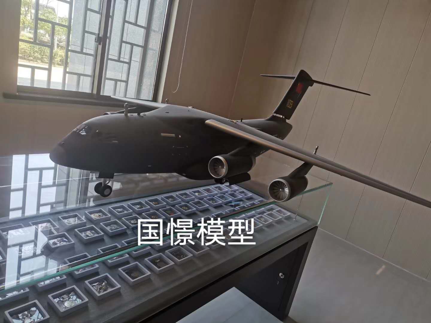 罗山县飞机模型